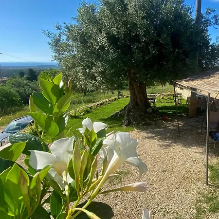Casale Micale * Noto